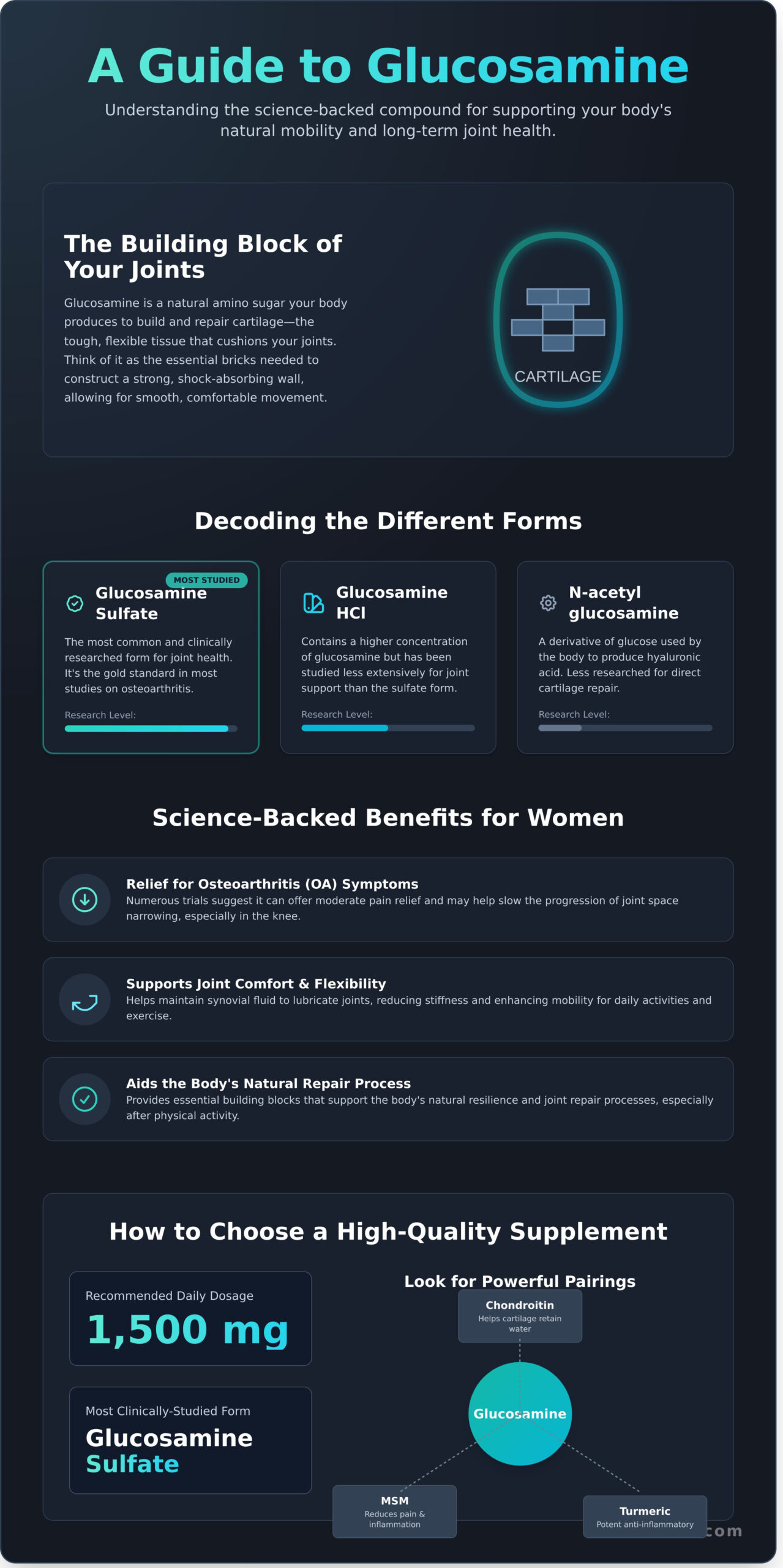 Glucosamine: A Complete Guide to Supporting Your Joint Health - Infographic