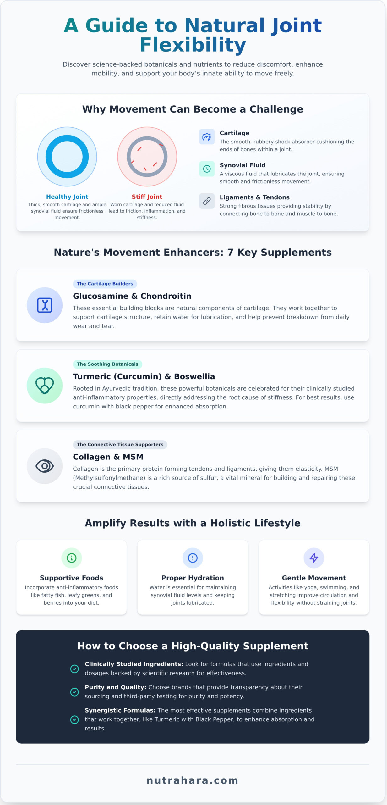 Supplements to Improve Joint Flexibility: A Woman’s Guide to Natural Mobility - Infographic