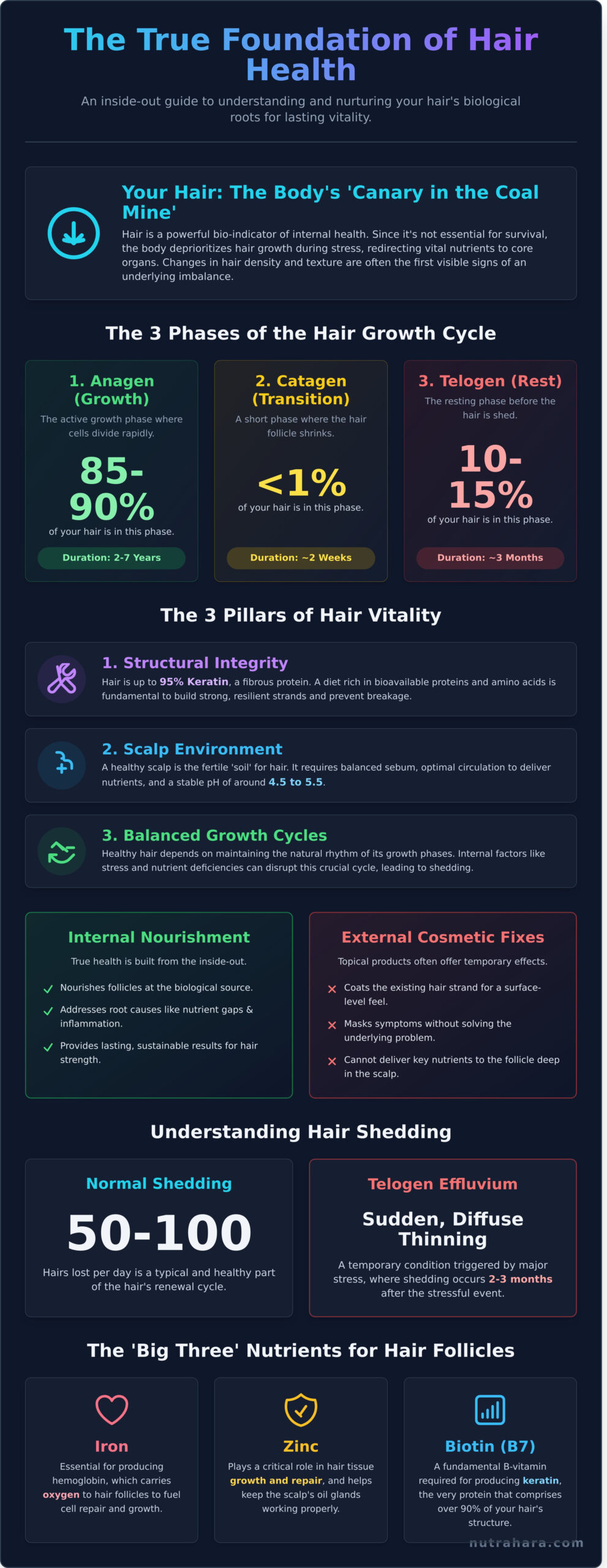 The Ultimate Guide to Hair Health: Restoring Shine and Strength from Within - Infographic