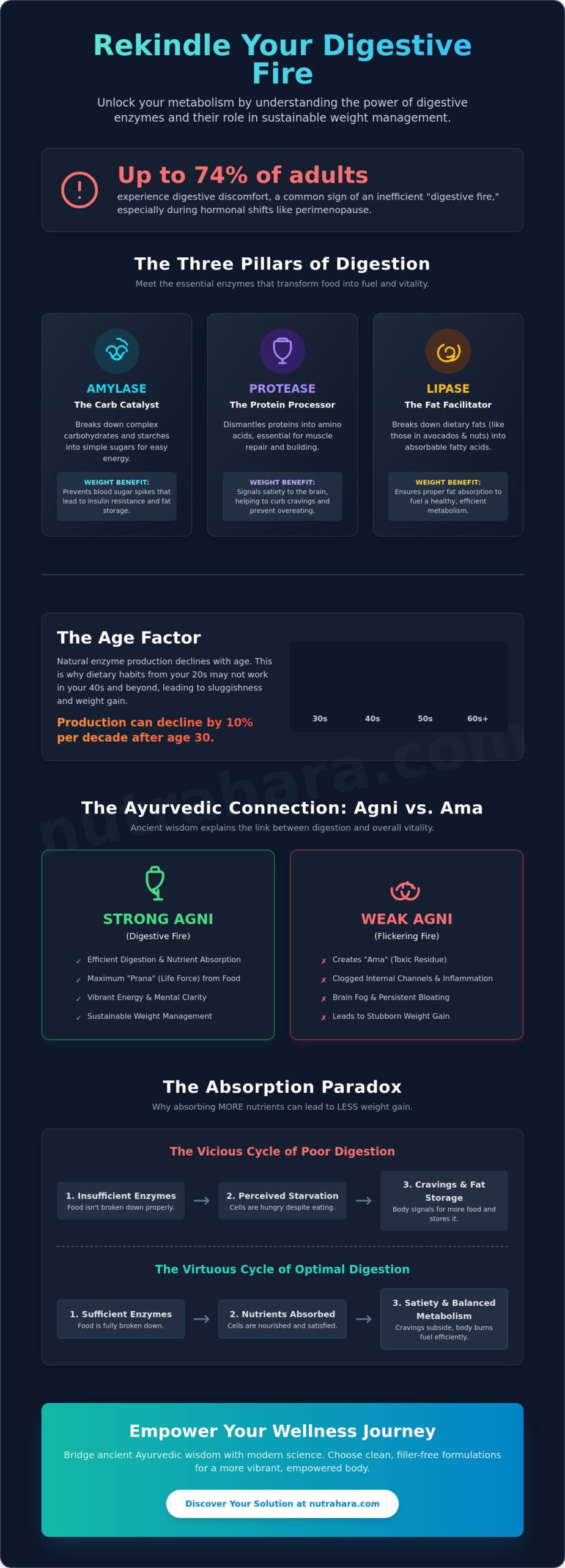 Can Digestive Enzymes Help You Lose Weight? A Holistic Science-Backed Guide for Women