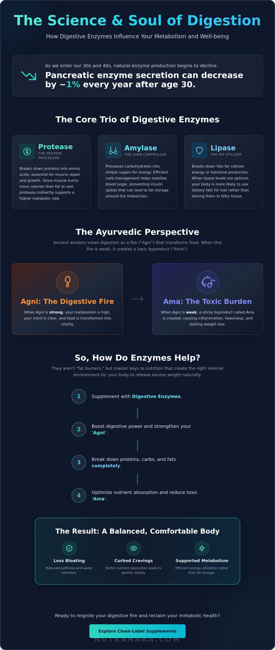 Do Digestive Enzymes Help With Weight Loss? A Holistic Guide for Women