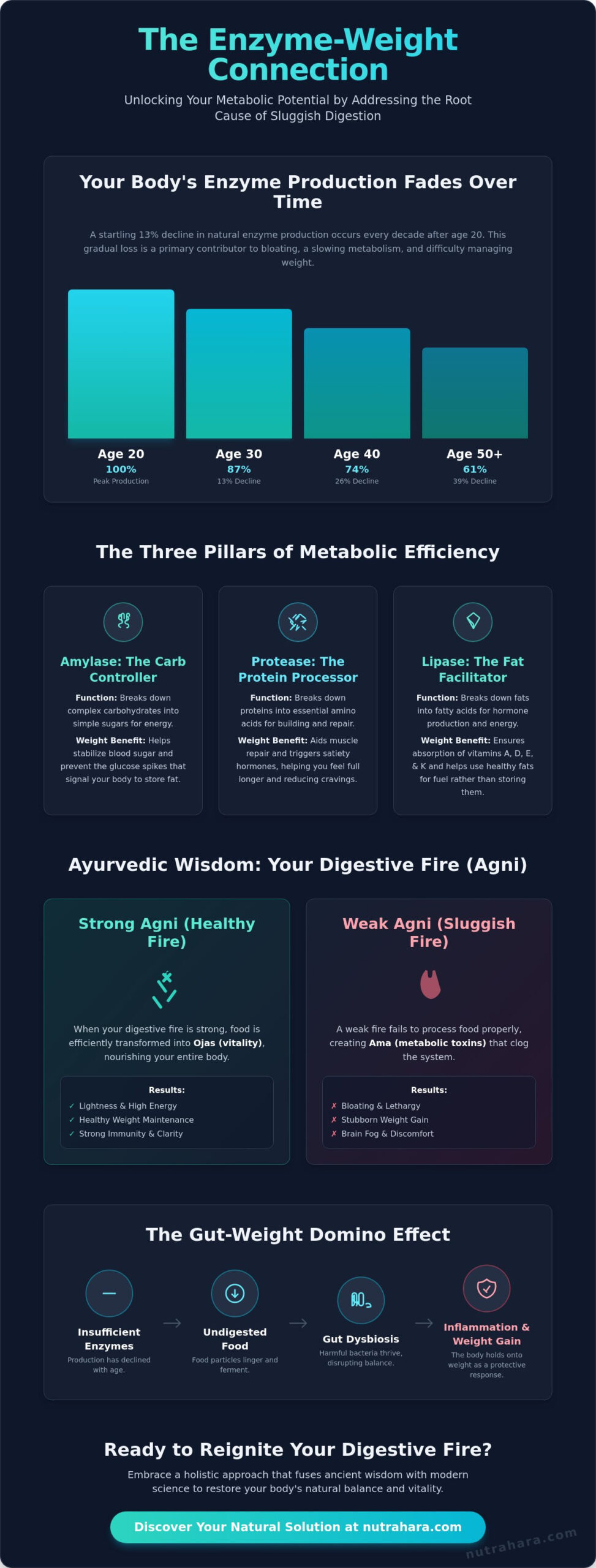 Do Digestive Enzymes Help You Lose Weight? A Women’s Holistic Guide (2026)