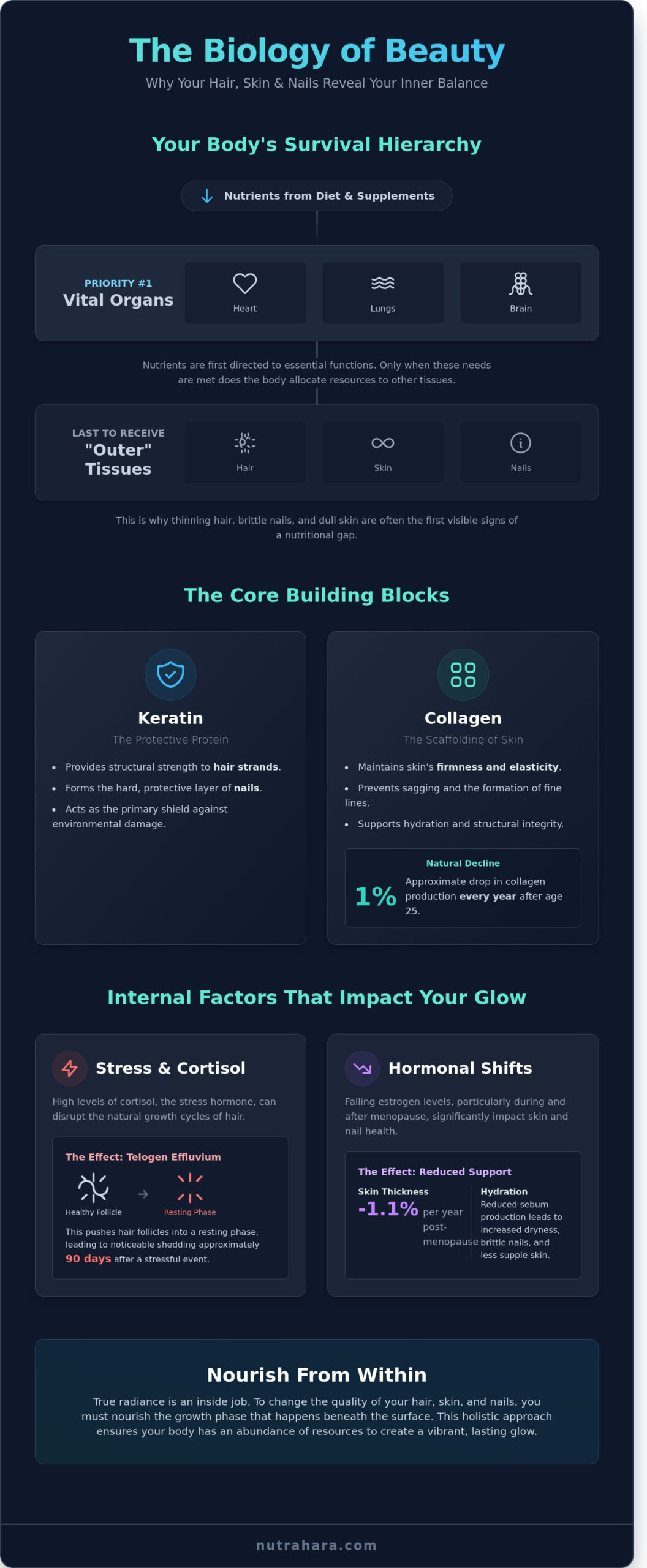 Recommended Hair Skin and Nails Vitamins: A Holistic Guide to Lasting Radiance