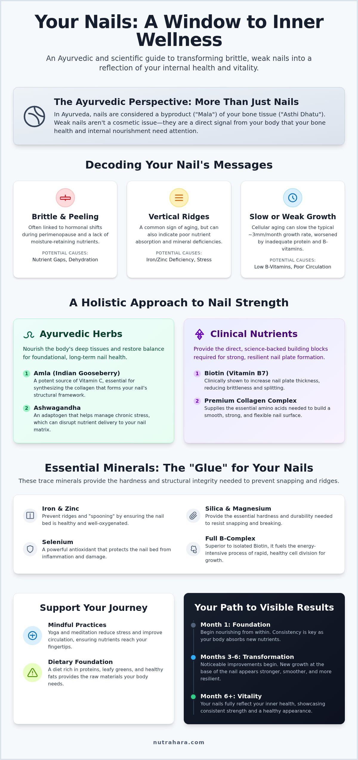 Ayurvedic Herbs for Nail Growth: 2026 Strength Guide