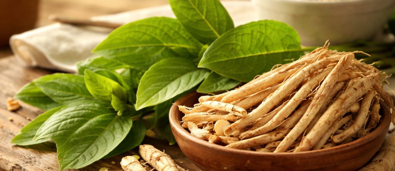 Ayurvedic supplements for menopause symptom relief