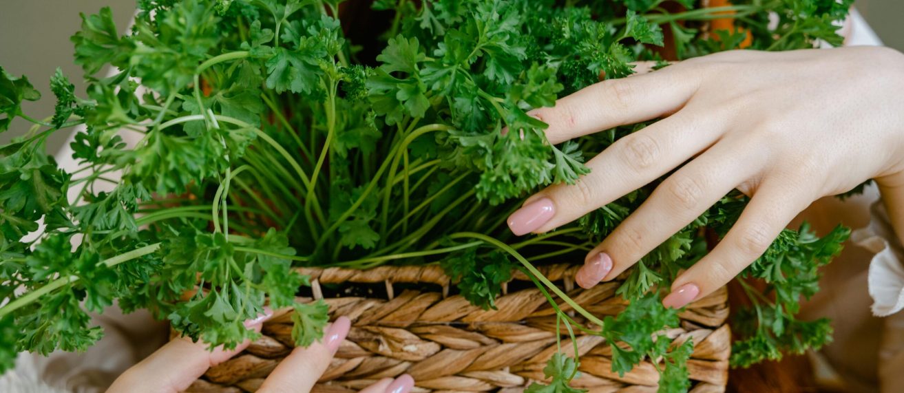 supplements for nails